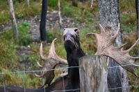 11. Tag - Omega Park (13)