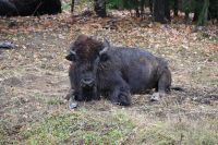 11. Tag - Omega Park (14)