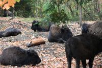 11. Tag - Omega Park (15)