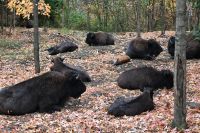 11. Tag - Omega Park (16)