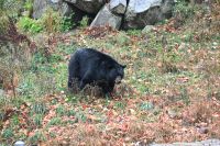 11. Tag - Omega Park (19)