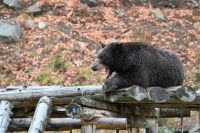 11. Tag - Omega Park (23)