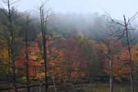 11. Tag - Omega Park (24)