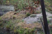 11. Tag - Omega Park (25)