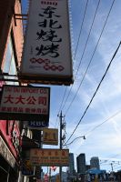 14. Tag - Toronto China Town (7)