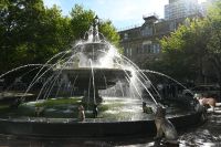 14. Tag - Toronto Hundebrunnen (1)