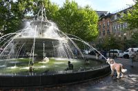 14. Tag - Toronto Hundebrunnen (2)