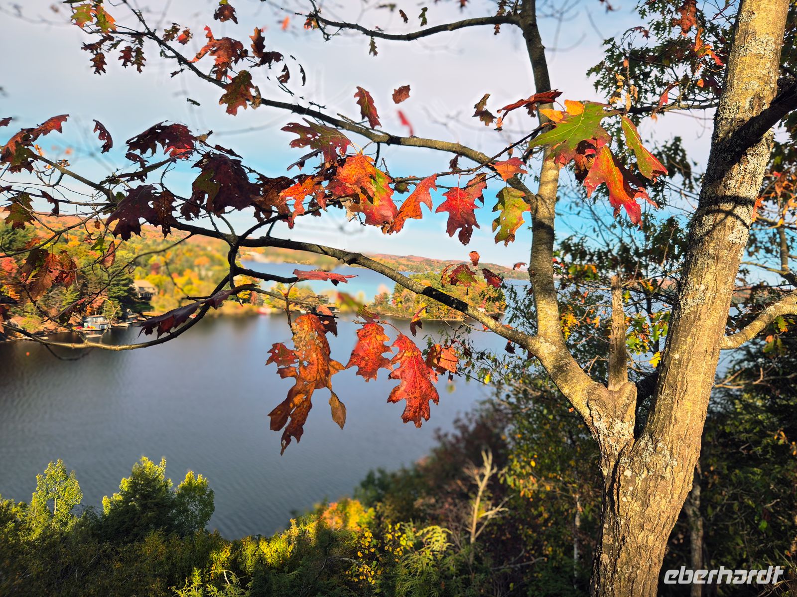 Lionspoint Aussichtspunkt - Hunstville - Kanada