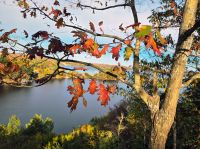 Lionspoint Aussichtspunkt - Hunstville - Kanada