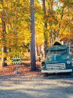 Kanutour im Prinz Algonquin Park - Kanada