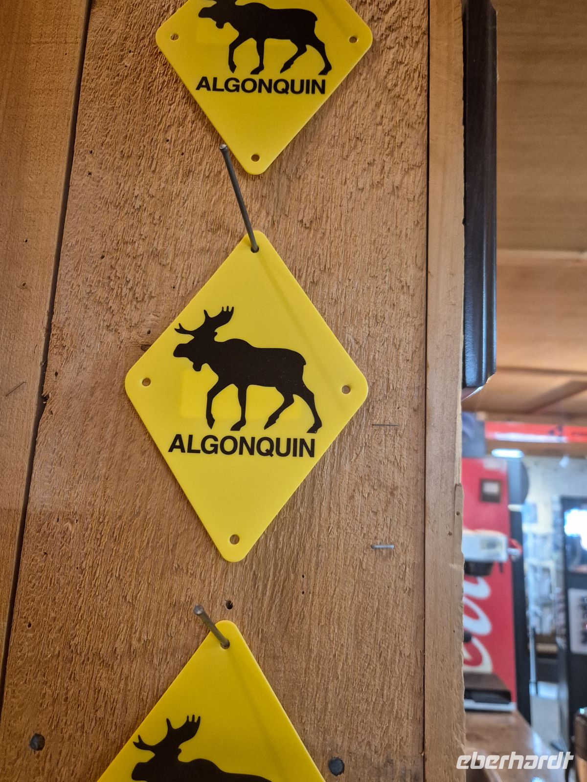 Kanutour im Prinz Algonquin Park - Kanada