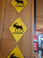 Kanutour im Prinz Algonquin Park - Kanada