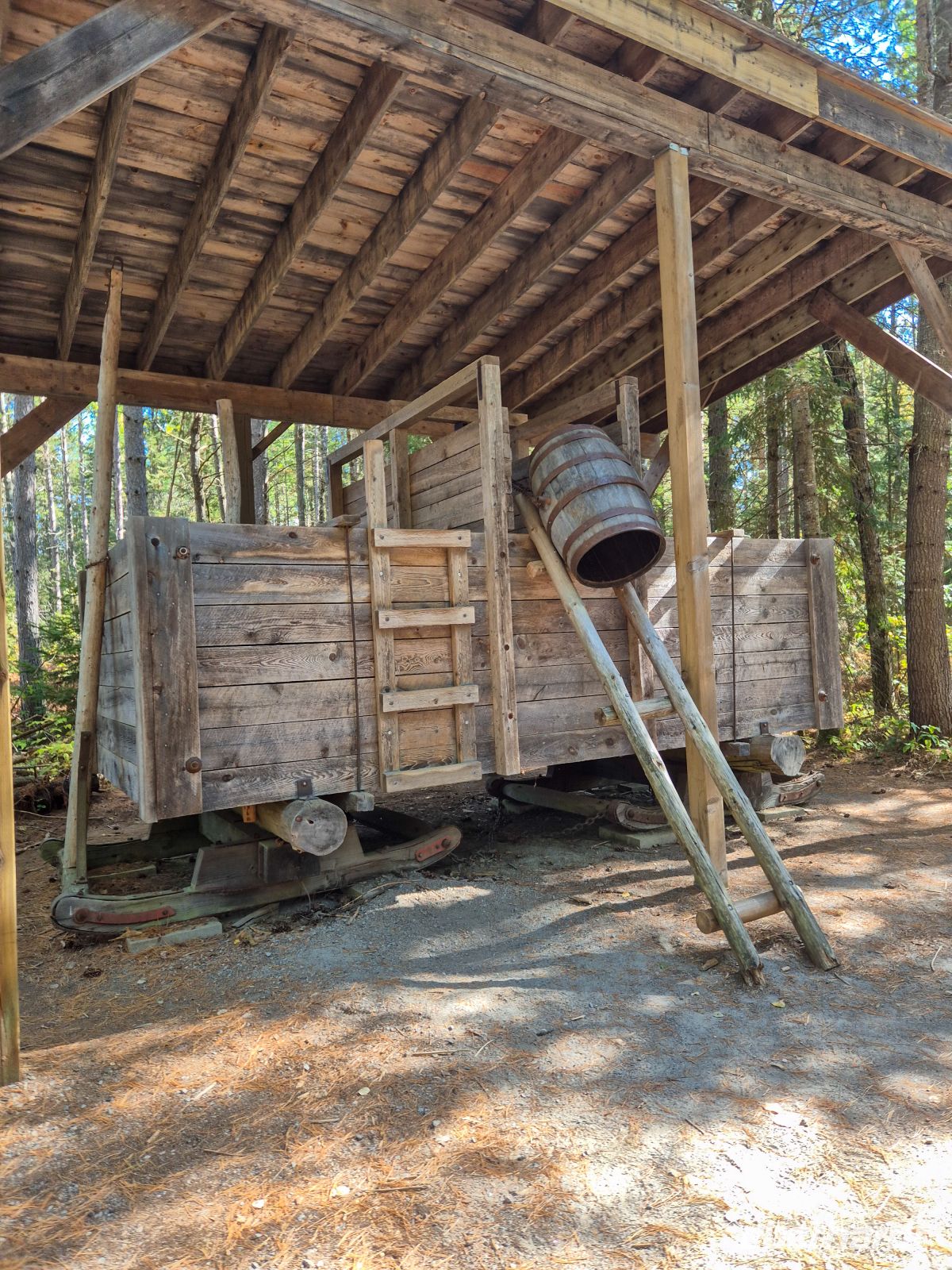 Algonquin Park Holzfäller Weg - Kanada 