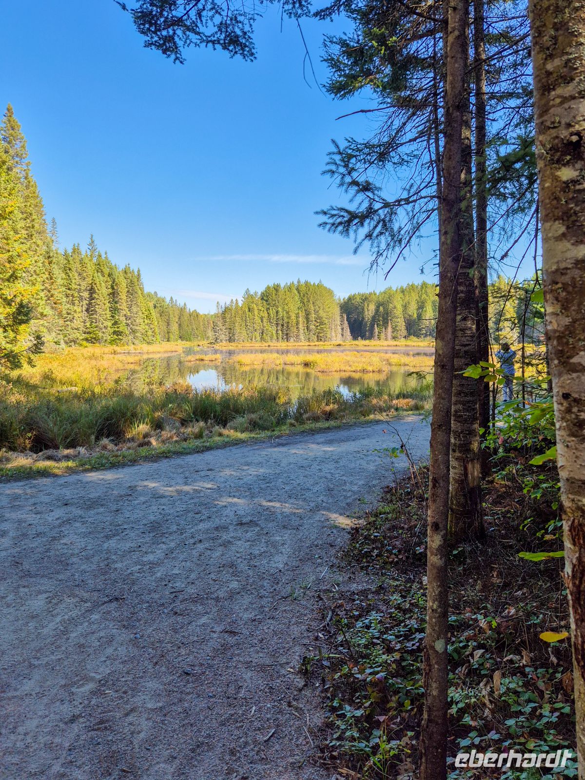 Algonquin Park Holzfäller Weg - Kanada 