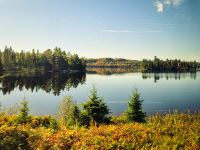 Algonquin Park Holzfäller Weg - Kanada 