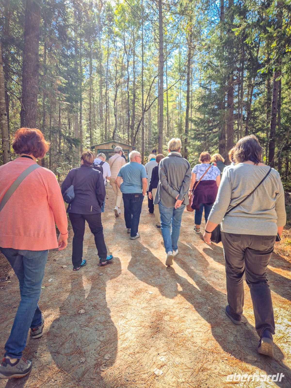 Algonquin Park Holzfäller Weg - Kanada 