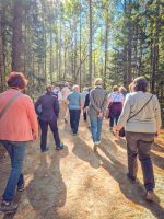 Algonquin Park Holzfäller Weg - Kanada 