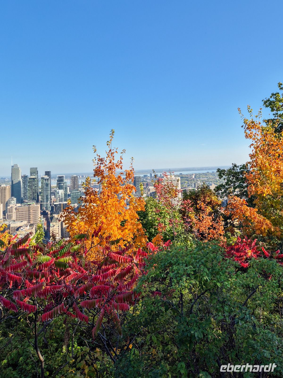 Blick vom Mount Royal in Montreal - Kanada 