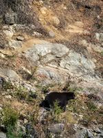 Omega Tierpark - Kanada 