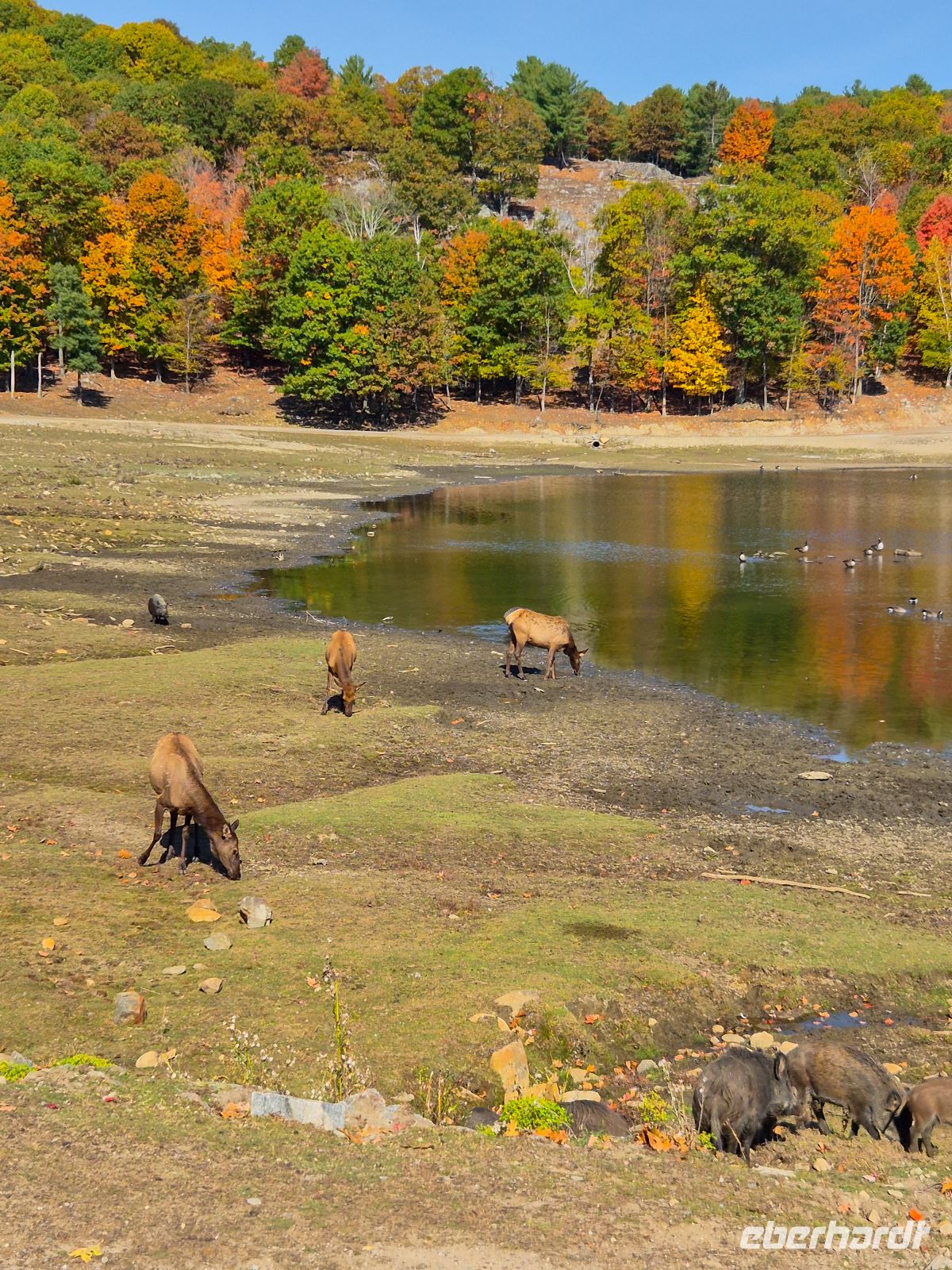 Omega Tierpark - Kanada 