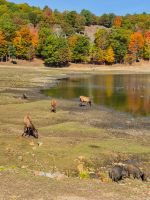 Omega Tierpark - Kanada 