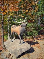 Omega Tierpark - Kanada 