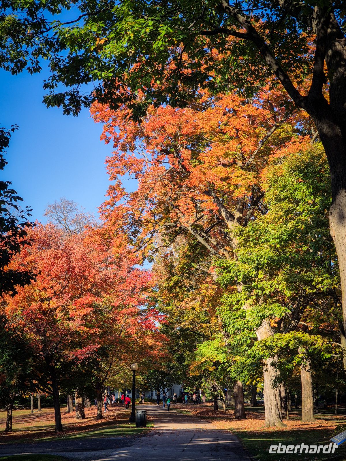 Indian Summer im Rideau Hall Park - Ottawa - Kanada 