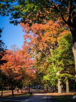 Indian Summer im Rideau Hall Park - Ottawa - Kanada 