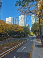 Stadtrundfahrt Montreal - Kanada 