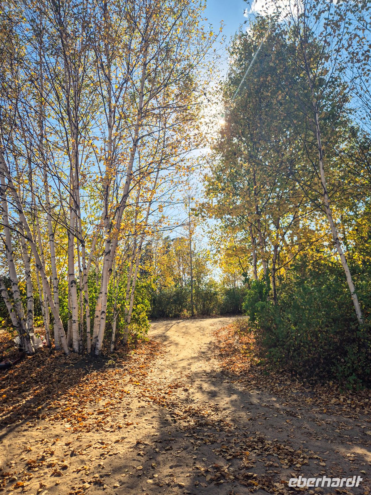Wanderung am Lac Taureau - Kanada 