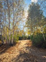 Wanderung am Lac Taureau - Kanada 
