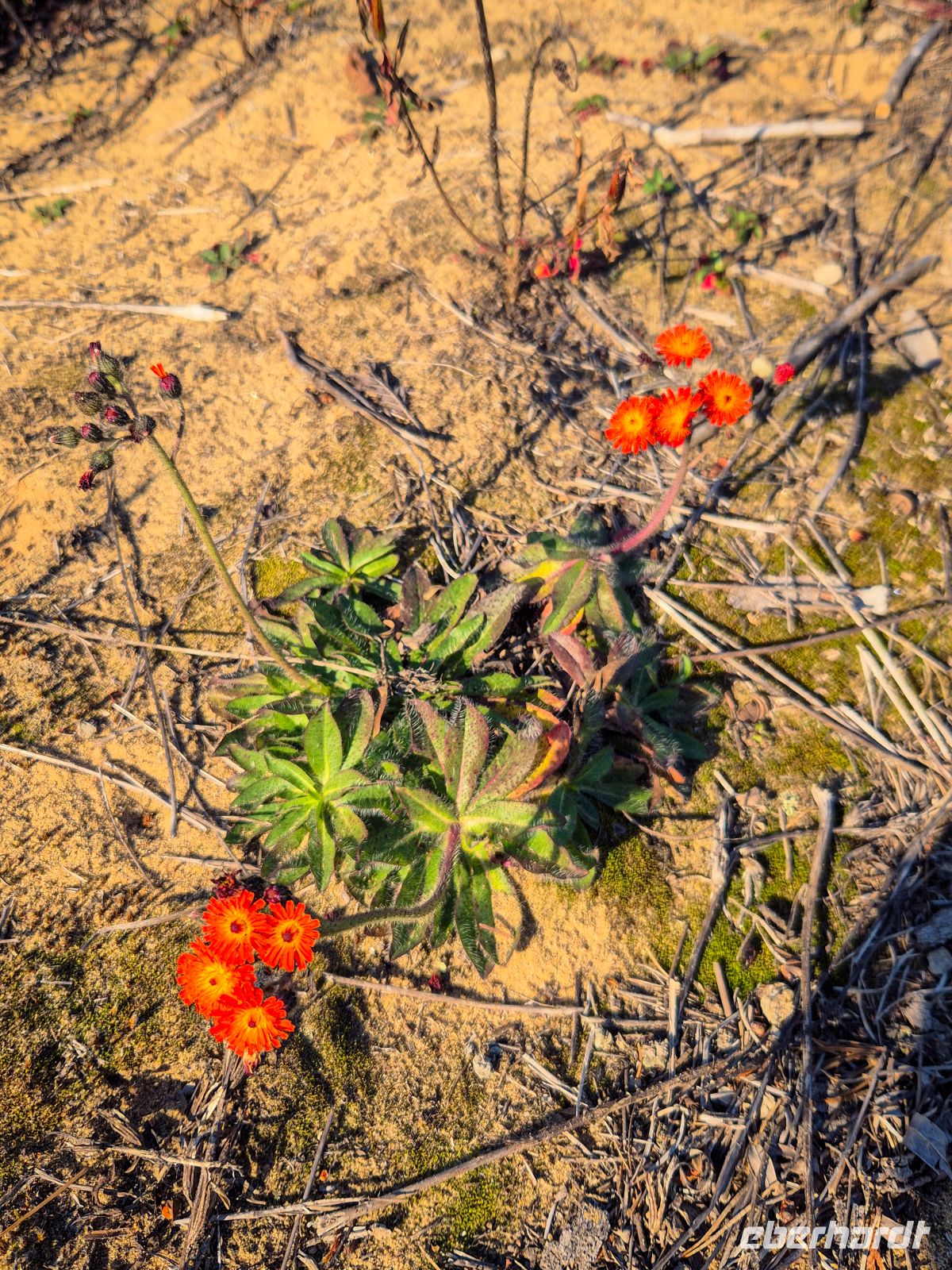 Wanderung am Lac Taureau - Kanada 