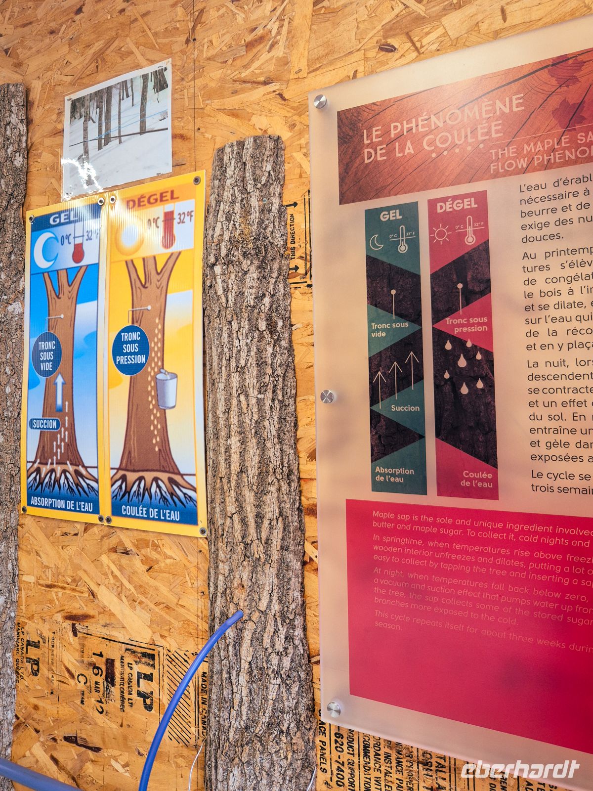 Zuckerhütte Chez Dany Quebec - Kanada 