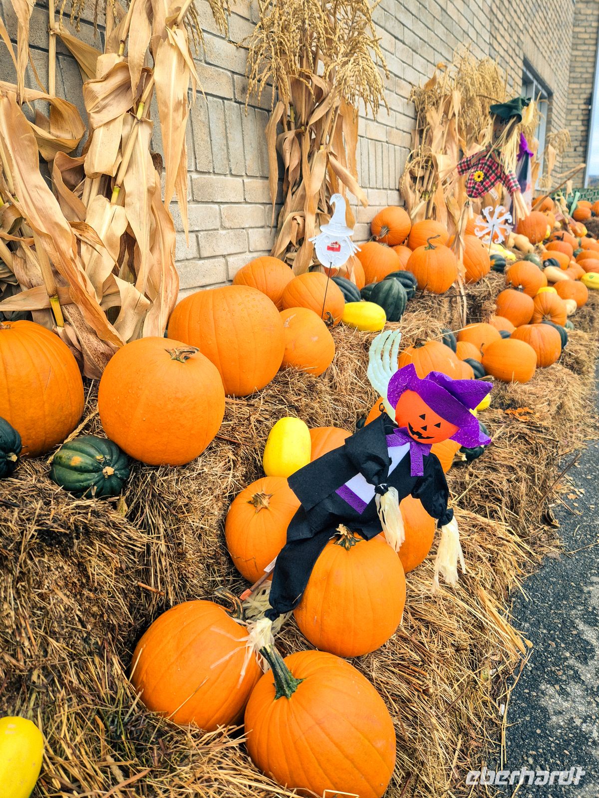 Halloween in Kanada - La Malbaie - Kanada 