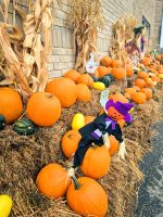 Halloween in Kanada - La Malbaie - Kanada 