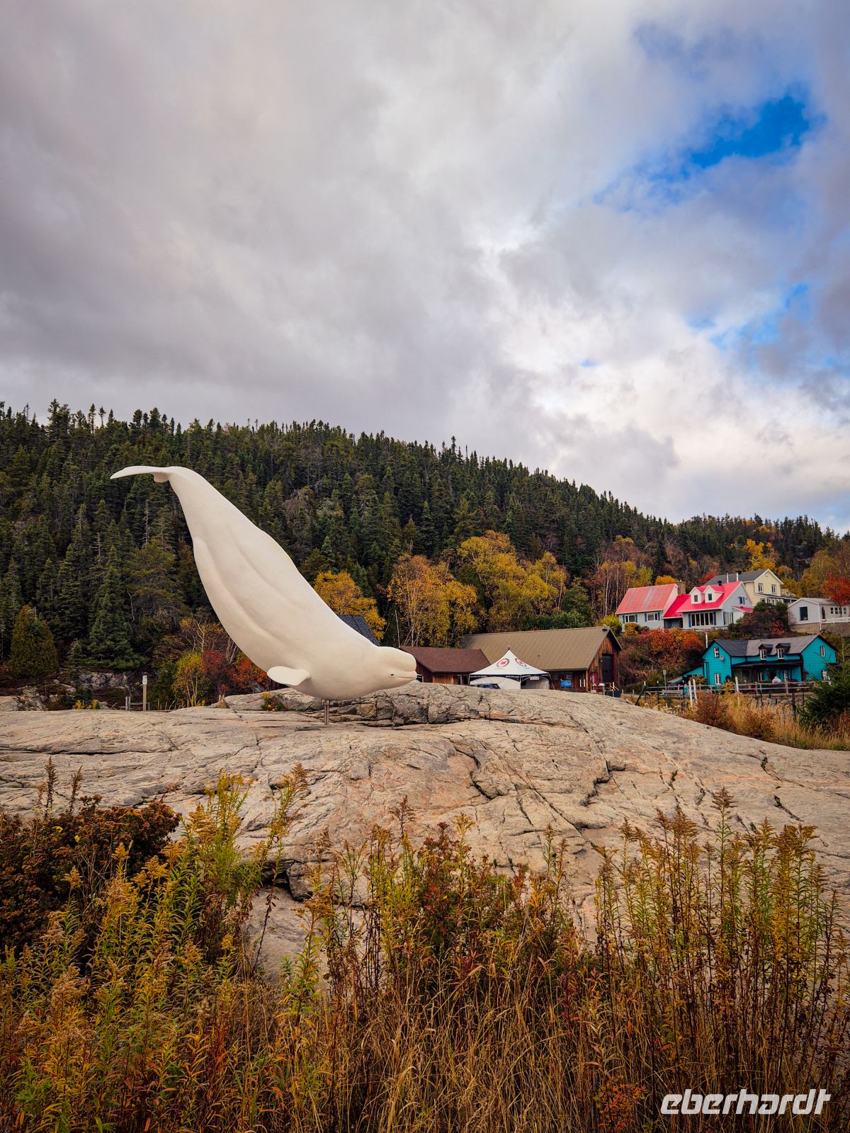 Marine Mammal Interpretation Centre in Tadoussac - Kanada 
