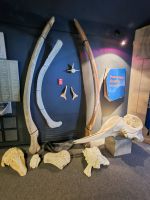 Marine Mammal Interpretation Centre in Tadoussac - Kanada 