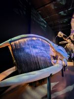 Marine Mammal Interpretation Centre in Tadoussac - Kanada 