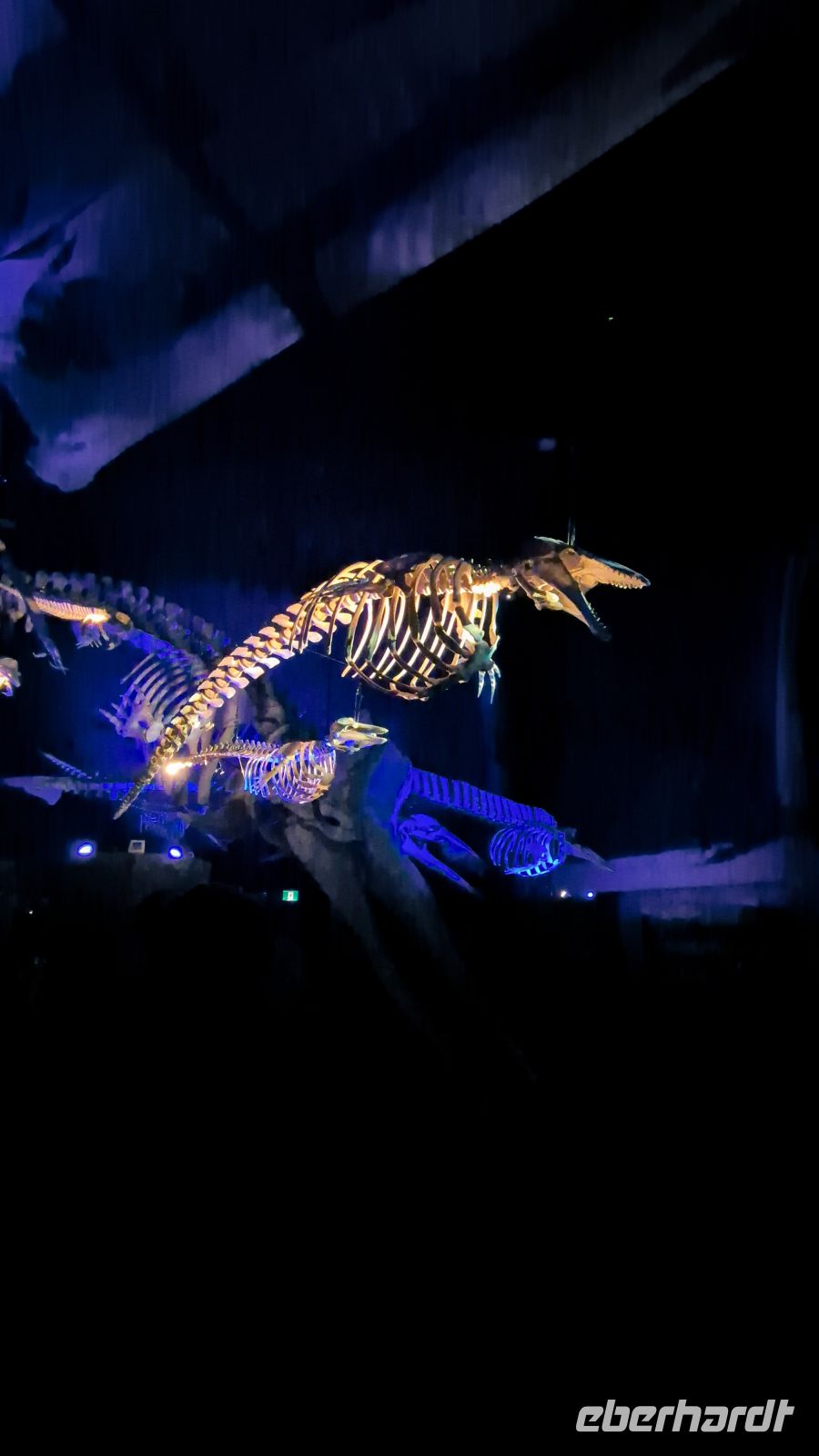 Marine Mammal Interpretation Centre in Tadoussac - Kanada 