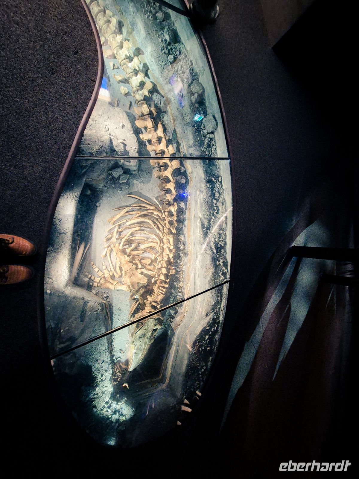 Marine Mammal Interpretation Centre in Tadoussac - Kanada 