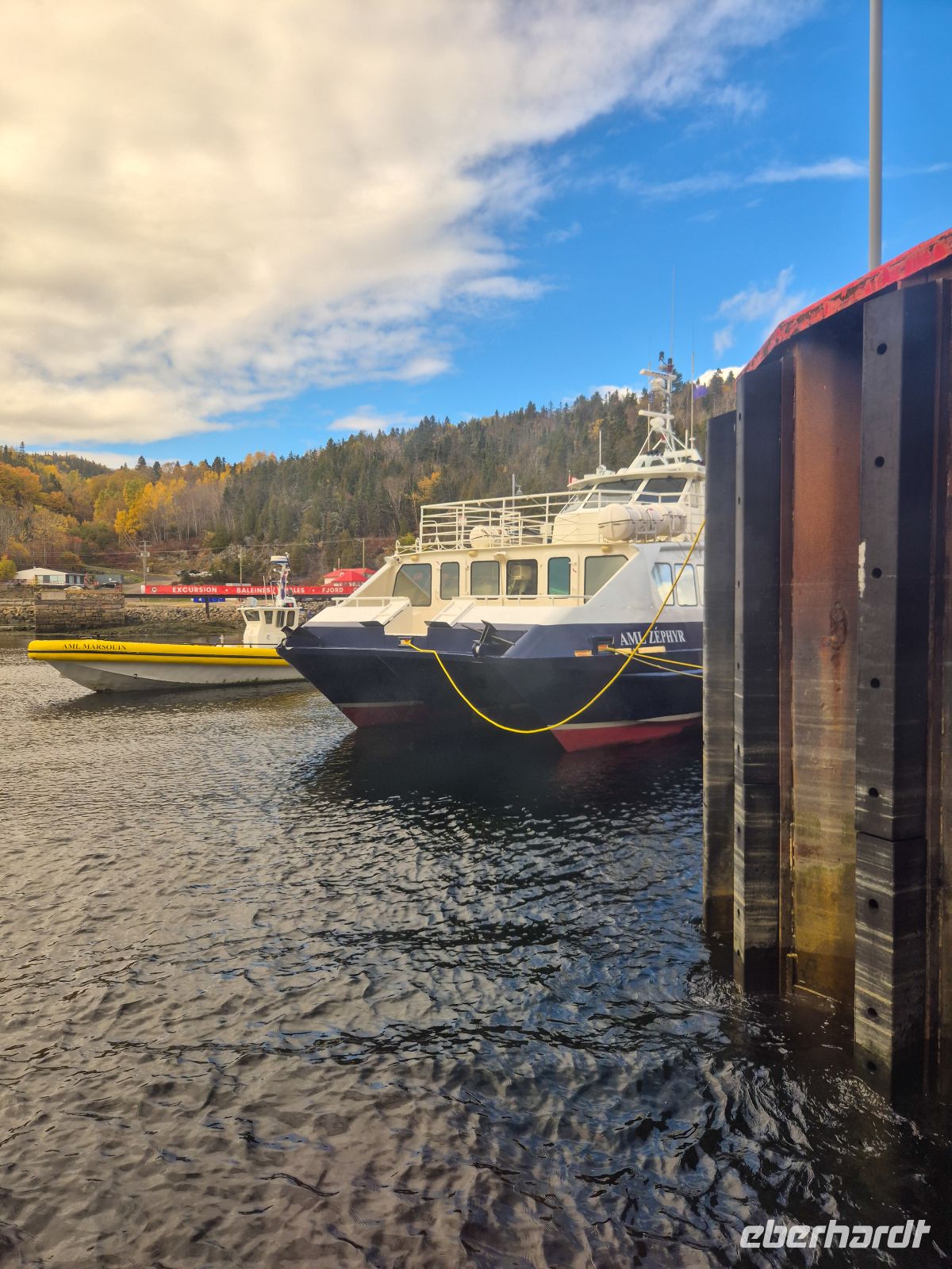 Boarding zur Walbeobachtung Tadoussac - Kanada 