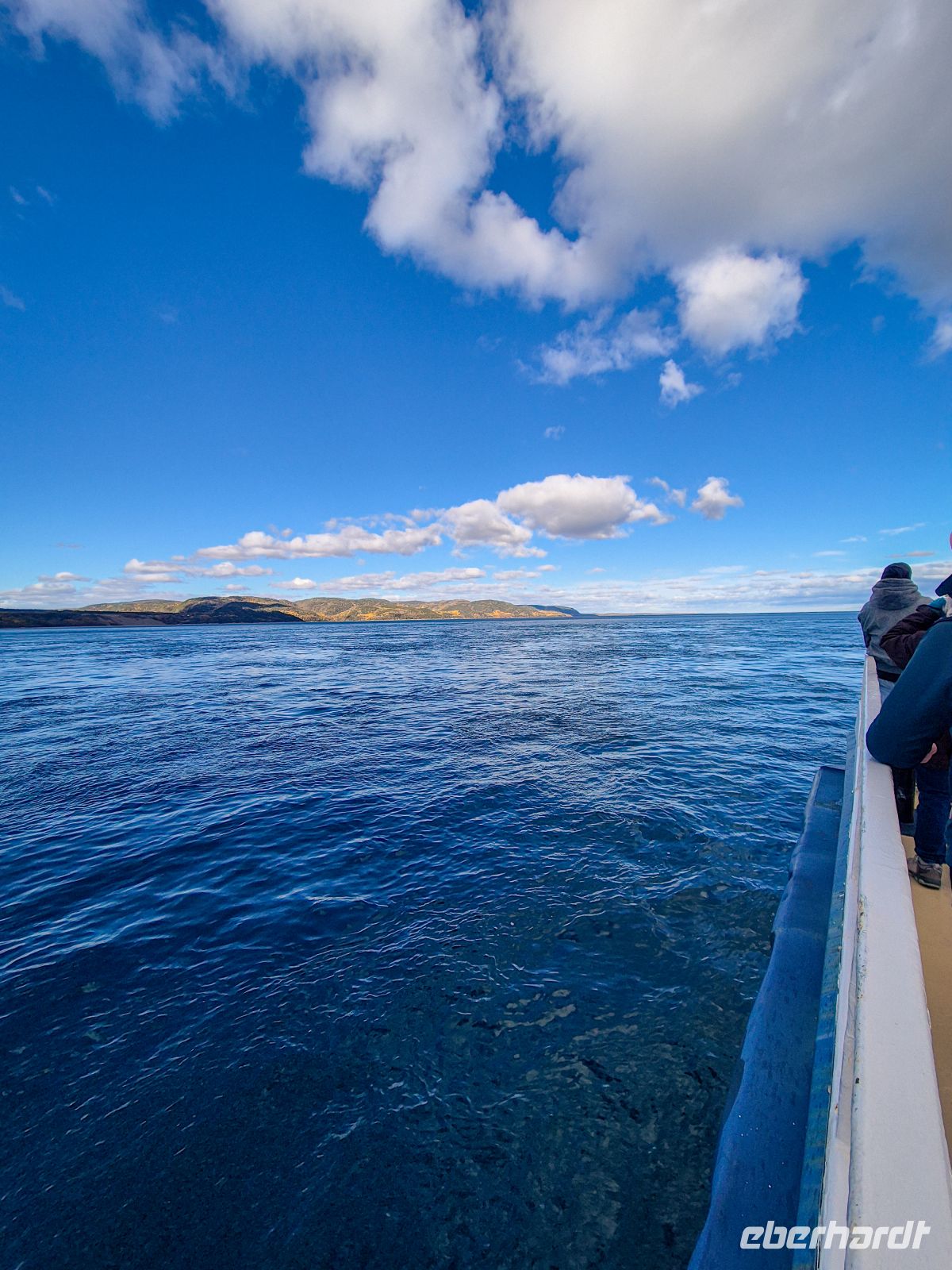 Walbeobachtung Sankt-Lorenz-Strom - Kanada 