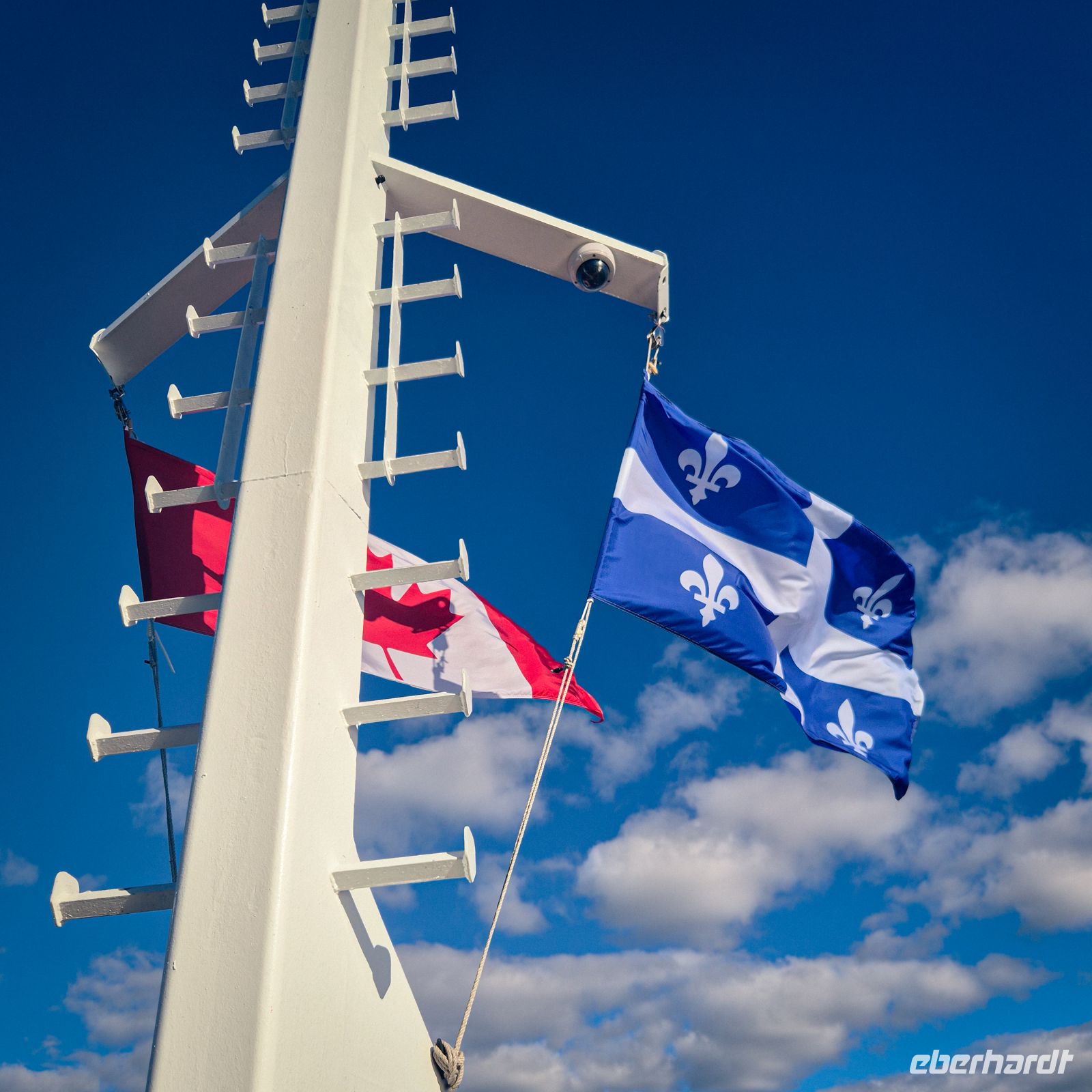 Walbeobachtung Sankt-Lorenz-Strom - Kanada 