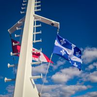 Walbeobachtung Sankt-Lorenz-Strom - Kanada 