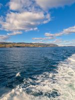 Walbeobachtung Sankt-Lorenz-Strom - Kanada 