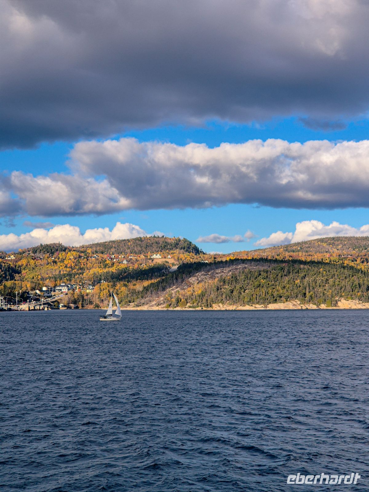 Walbeobachtung Sankt-Lorenz-Strom - Kanada 