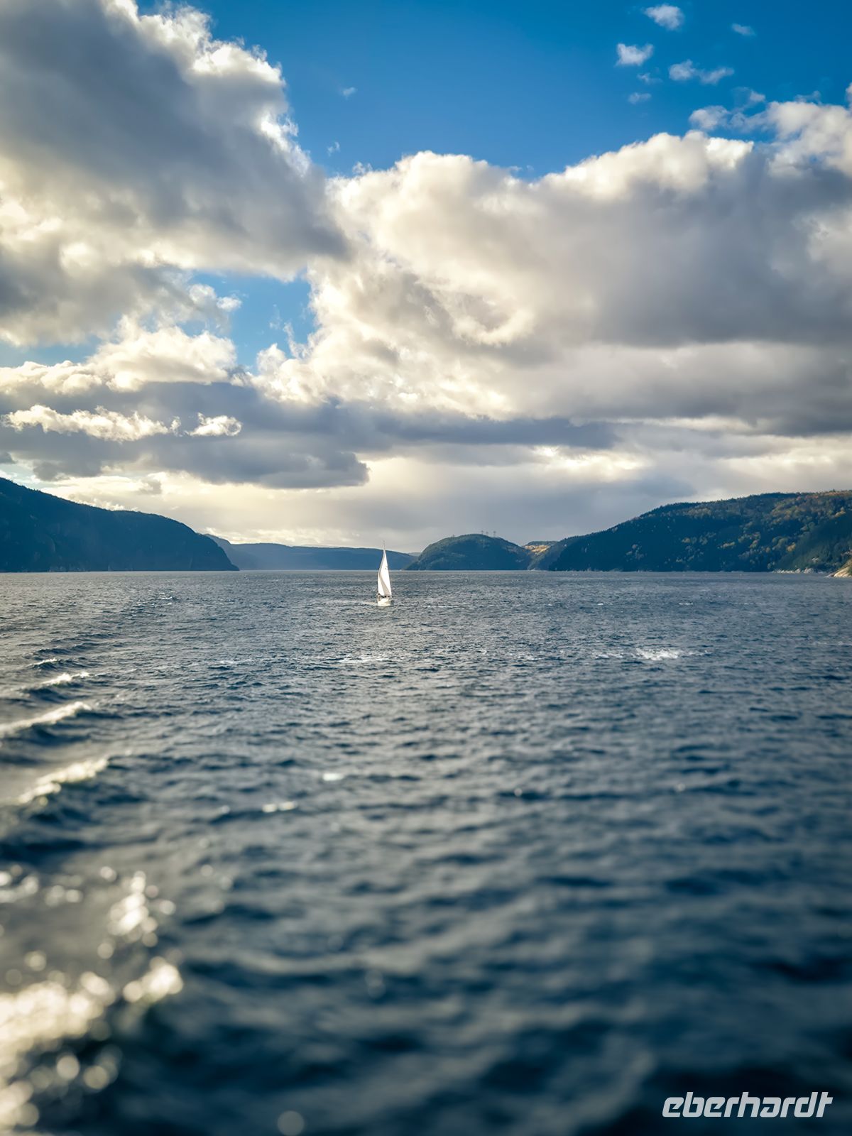 Walbeobachtung Sankt-Lorenz-Strom - Kanada 