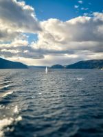 Walbeobachtung Sankt-Lorenz-Strom - Kanada 