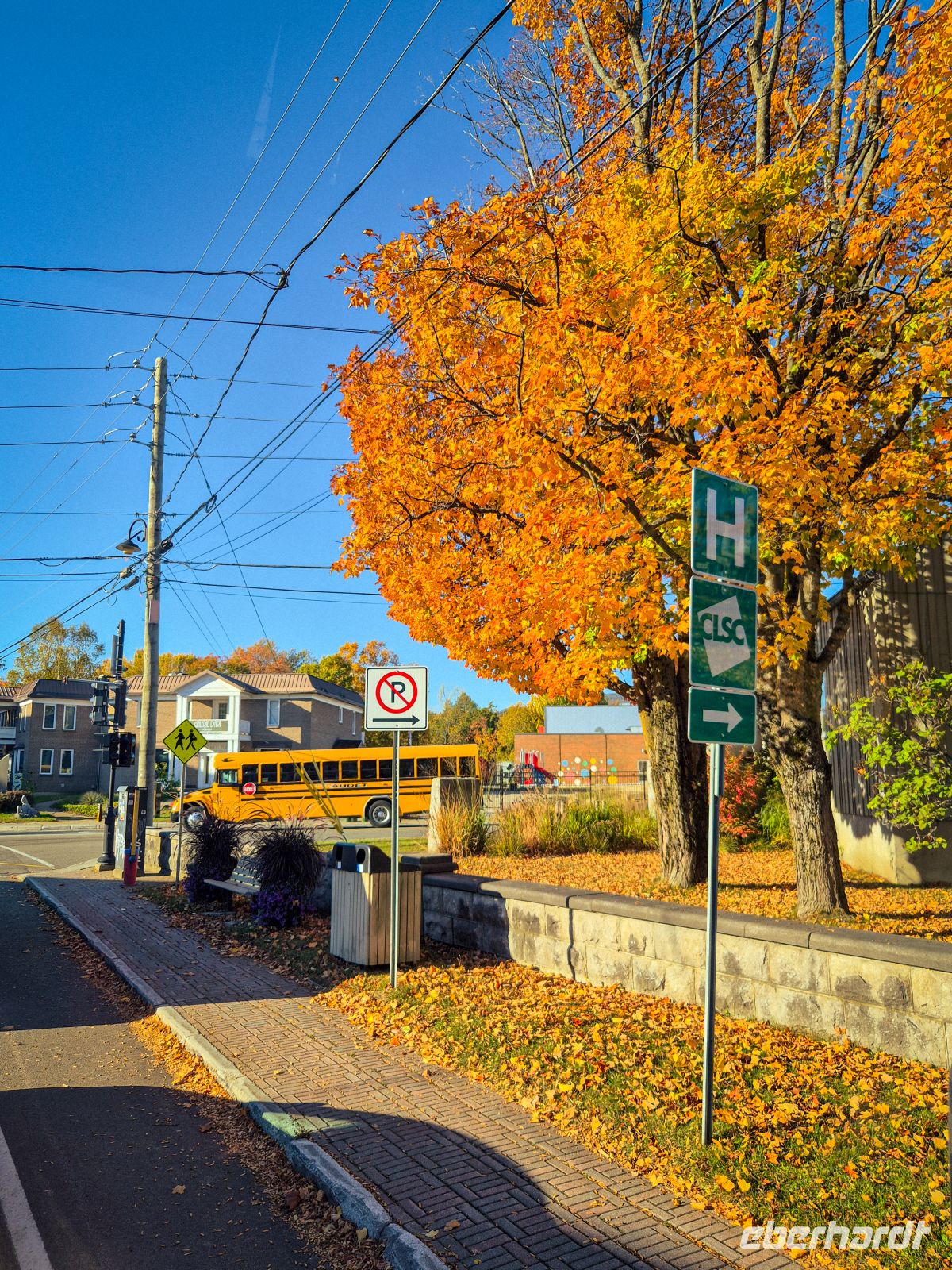 Indian Summer in Kanada 