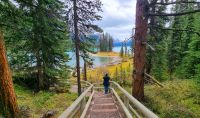 Rundweg zu Spirit Island am Maligne Lake